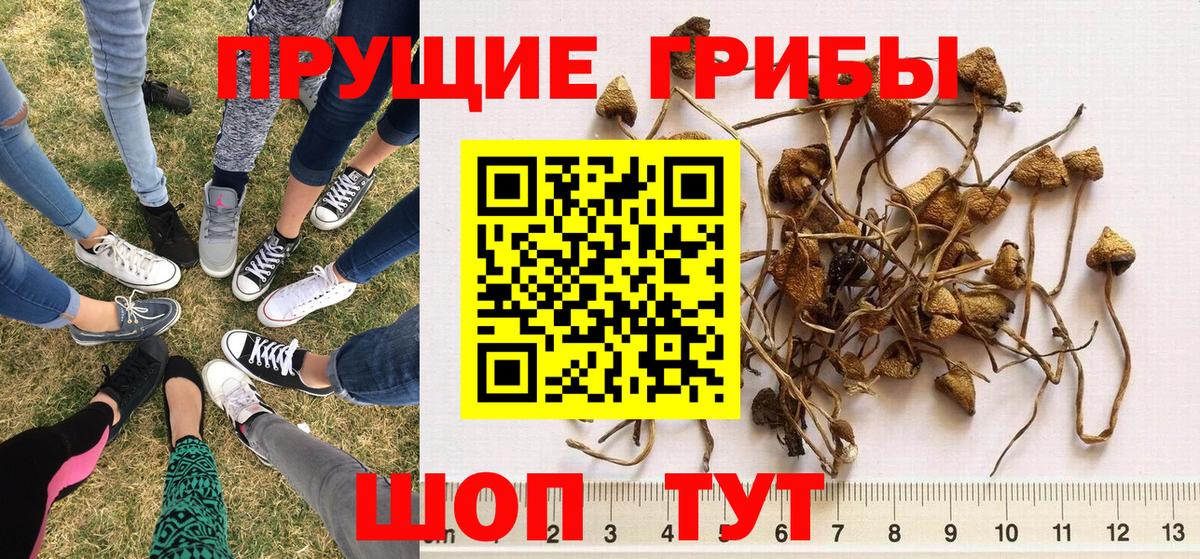 Аксай  магазин продажи   Вход с VPN  Псилоцибиновые грибы Psilocybe  Псилоцибиновые грибы мухоморы 